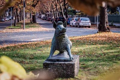 Berlin Schmargendorf 24