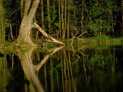 Buch Seen, Rieselfelder (51)