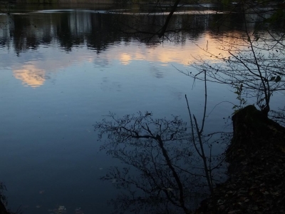 Dachsberg Försterei (130)