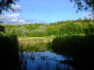 Eichkamp Försterei (73)