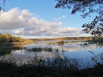 Flughafensee Tegel (77)
