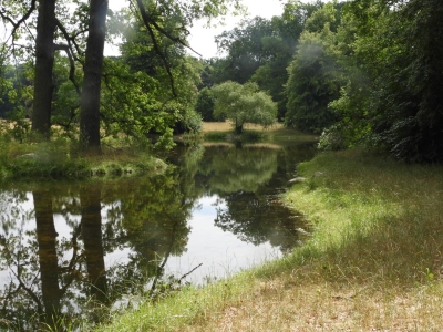 Glienicke Schlosspark (58)