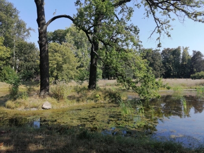 Glienicke Schlosspark (93)
