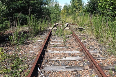 Ortsteil-Grunewald (25)