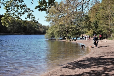 Ortsteil-Grunewald (35)