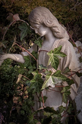 Wilmersdorf-Berlin (122)